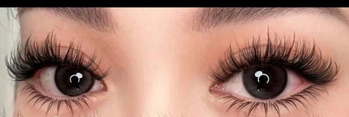 Modele Aube